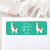 Funky Alaca drama llama