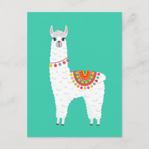 Funky Alaca llama drama, söt djur Vykort