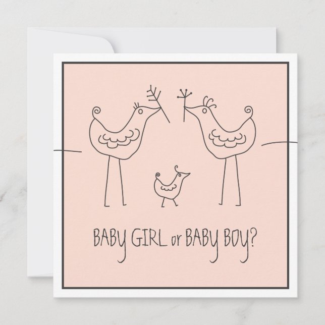 Funky Bird Couple Baby Gender Reveal Party Inbjudningar (Framsida)