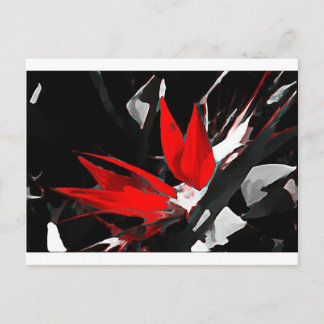 Funky Bird of Paradise Vykort