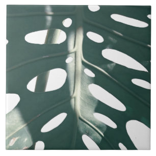 Funky Blek Grönt Swiss Cheese Plant Kakelplatta