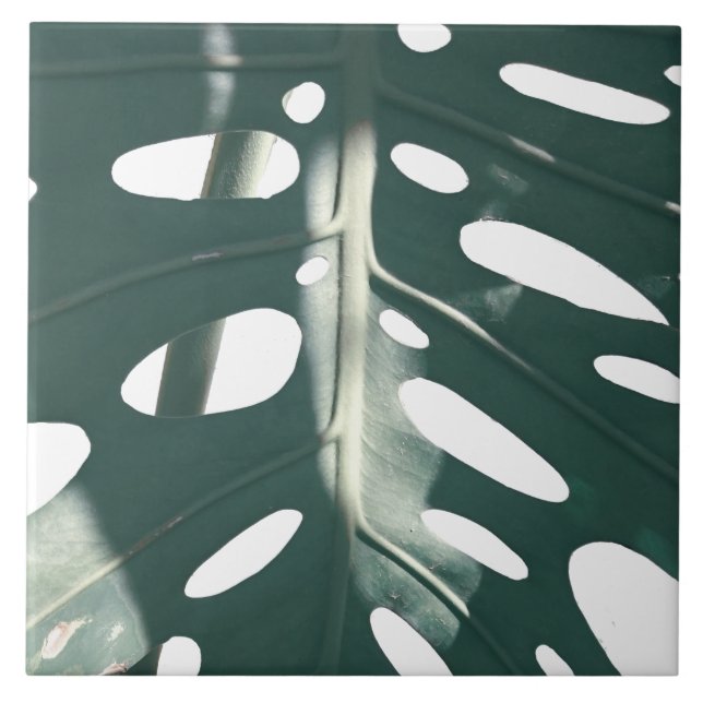 Funky Blek Grönt Swiss Cheese Plant Kakelplatta (Framsidan)