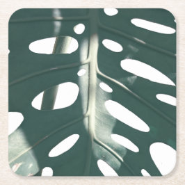 Funky Blek Grönt Swiss Cheese Plant Underlägg Papper Kvadrat