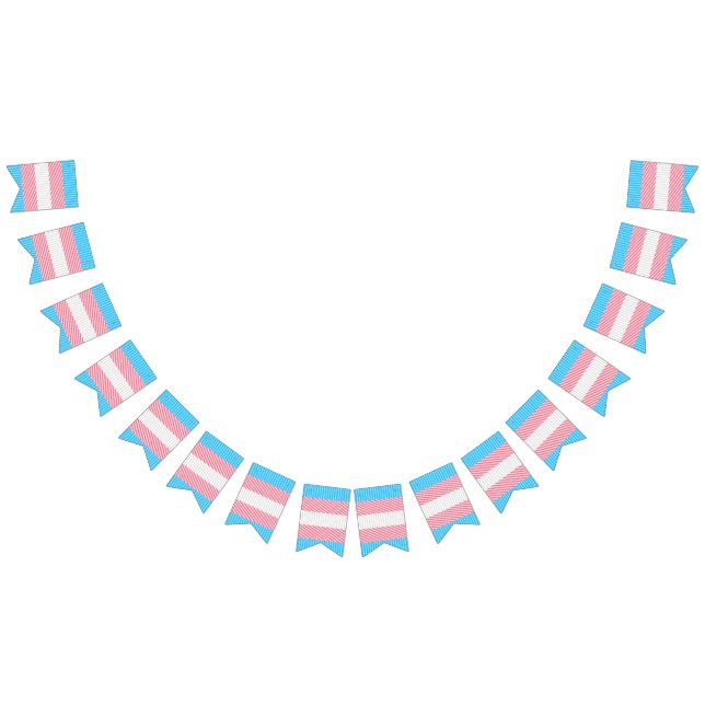 Funky Boho Rand Abstrakt Transgender Pride Flagga (Alla)