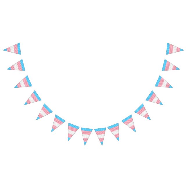 Funky Boho Rand Abstrakt Transgender Pride Flagga (Alla)