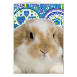 Funky Bunny Hälsningskort