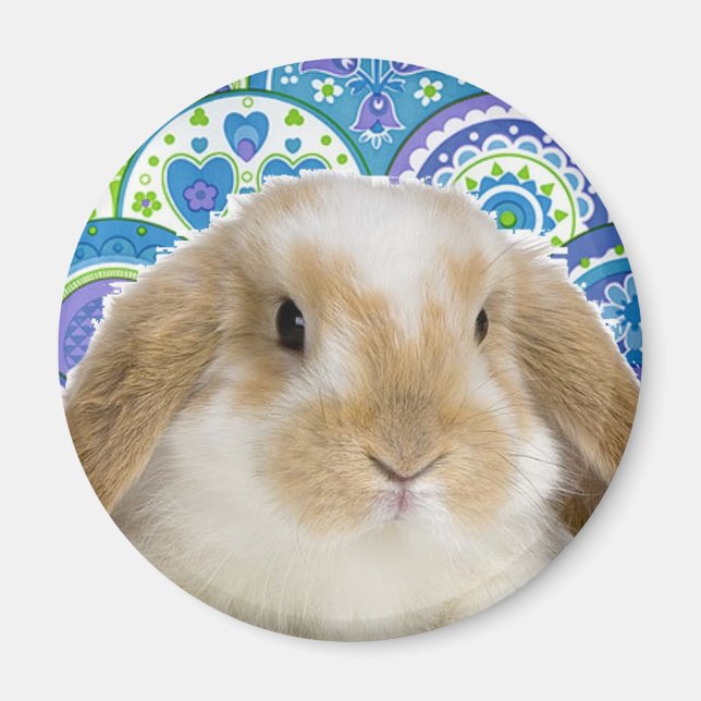 Funky Bunny Magnet (Framsidan)