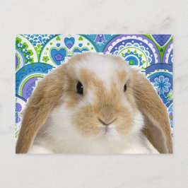 Funky Bunny Vykort