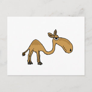 Funky Camel-Tecknad Vykort