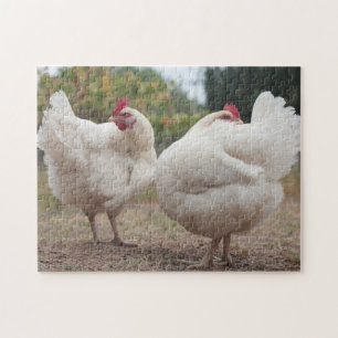 Funky Chicken Hen Hy-Line Silver Brown Pussel