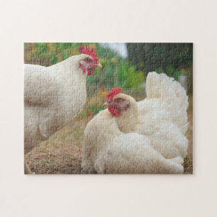 Funky Chicken Hen Hy-Line Silver Brown Pussel