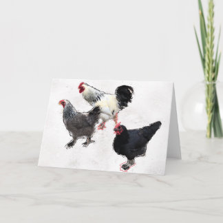 Funky Chickens Kort