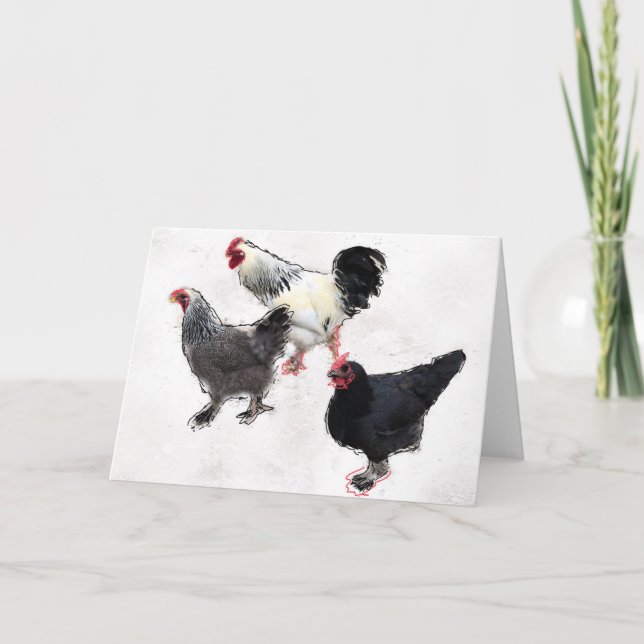 Funky Chickens Kort (Framsida)