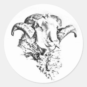 Funky Cute Sheep Ram Head Sketch Runt Klistermärke