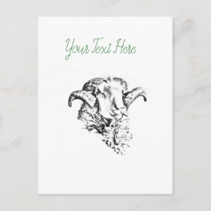 Funky Cute Sheep Ram Vykort