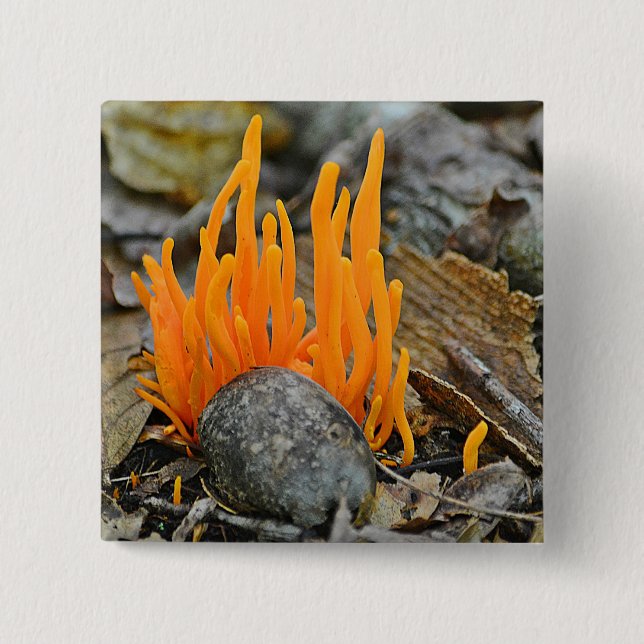 Funky Fungi-knapp Knapp (Framsida)