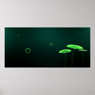 Funky Fungus Poster
