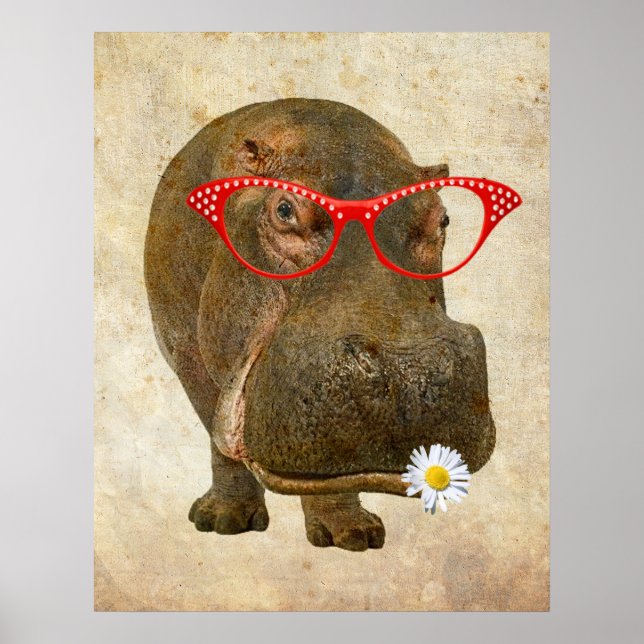 Funky Hippopotamus Poster! Poster (Framsidan)