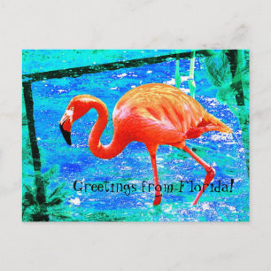 Funky rosa Florida flamingo-vykort Vykort