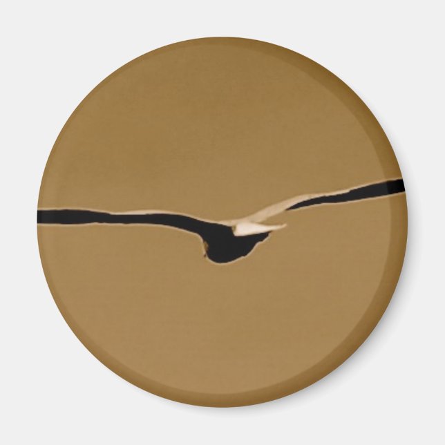 Funky Vingar Magnet (Framsidan)