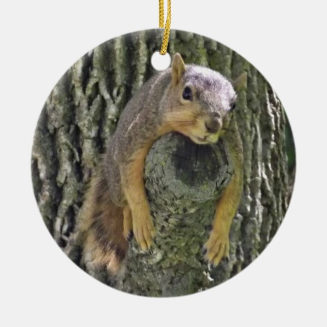 Funn Squirrel jul Ornament (Framsidan)