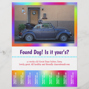 Funnet Hund Riv Av färgrik Reklamblad