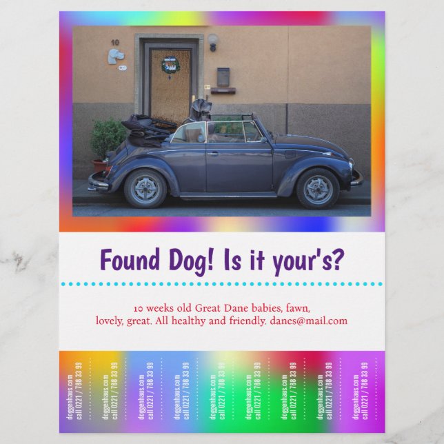 Funnet Hund Riv Av färgrik Reklamblad (Framsidan)