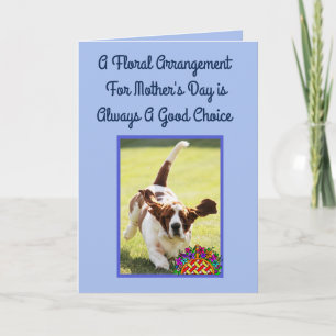 Funnigt Mors dag-kort med cute Basset Hound Kort