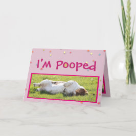 Funnigt Påsk-kort med cute Basset Hound Helgkort