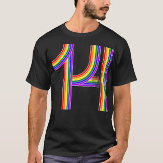 Funny 14th Birthday Gift Cute 14 Year Old Rainbow T Shirt
