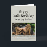 Funny 30års födelsedag Big Brother Cute Hund Anima Kort<br><div class="desc">Funny 30:e födelsedag Big Brother Cute Yorkshire Terrier Yorkie Hund Animal</div>