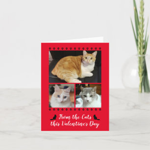 Funny 3-foto från Cat Paw Skriv ut Valentineser Re Helgkort