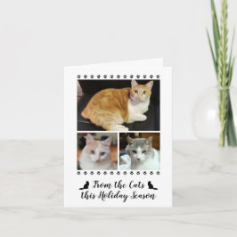 Funny 3-fotoskript från Cat Hund Pet Helgkort