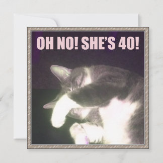 Funny 40:e födelsedag (katt) kort