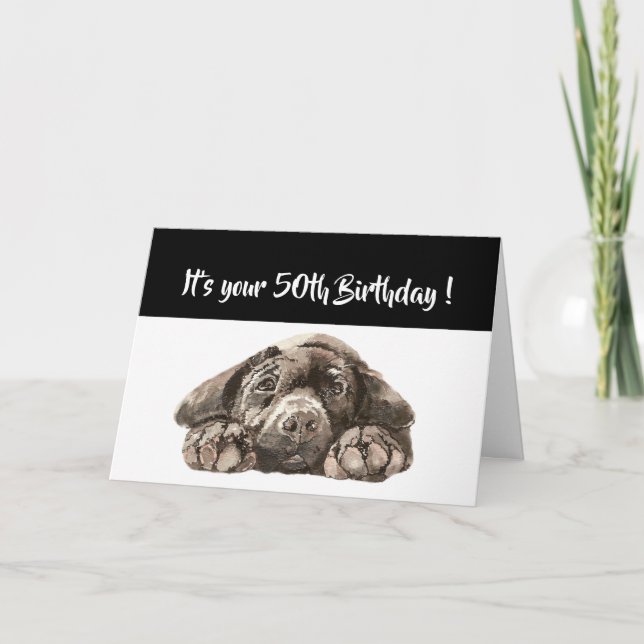 Funny 50:e födelsedagen, Labrador Retriever Kort (Framsida)