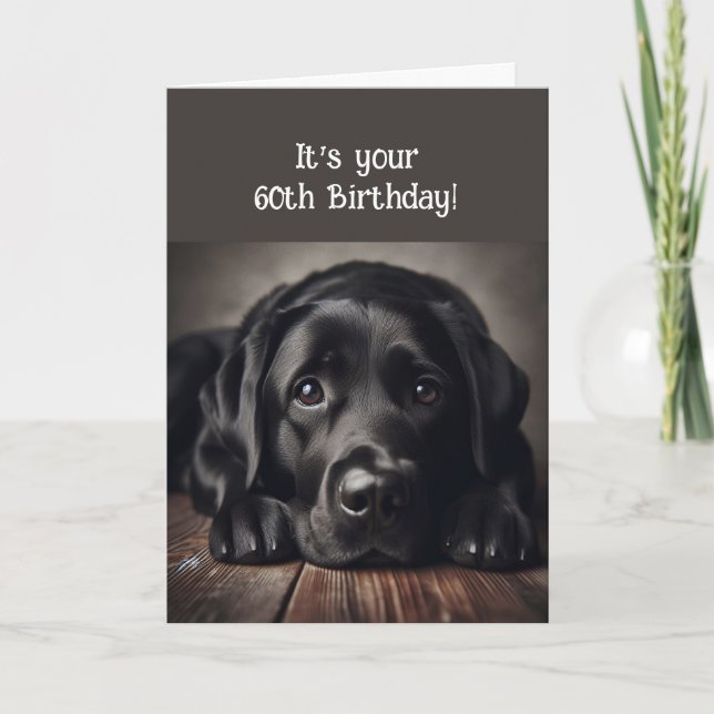 Funny 60-årsdag, Labrador Retriever Kort (Framsida)