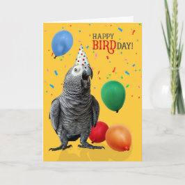 Funny African Grått Parrot Birthday Humor Kort