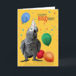 Funny African Grått Parrot Birthday Humor Kort<br><div class="desc">En mycket söt afrikansk Grått-papegoja; "Lycklig BIRDday",  omgiven av färgfulla ballonger och konetti på en glad gult bakgrund.</div>