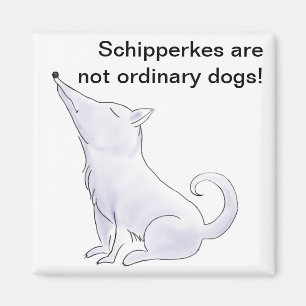 Funny Aloof Schipperke Hund Tecknad Magnet