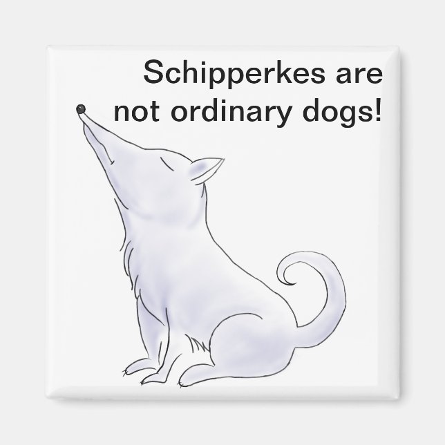 Funny Aloof Schipperke Hund Tecknad Magnet (Framsidan)
