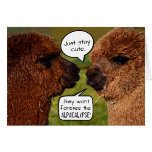 Funny Alpaca Alpacalypse Schema Hälsningskort