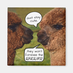 Funny Alpaca Alpacalypse Schema Magnet