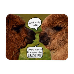 Funny Alpaca Alpacalypse Schema Magnet