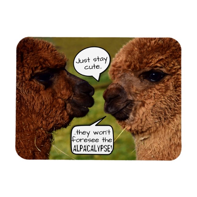 Funny Alpaca Alpacalypse Schema Magnet (Horisontell)