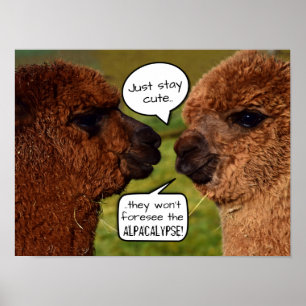 Funny Alpaca Alpacalypse Schema Poster