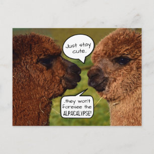 Funny Alpaca Alpacalypse Schema Vykort