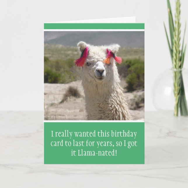 Funny Alpaca Llama Birthday Kort (Framsida)