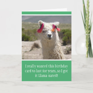 Funny Alpaca Llama Birthday Kort