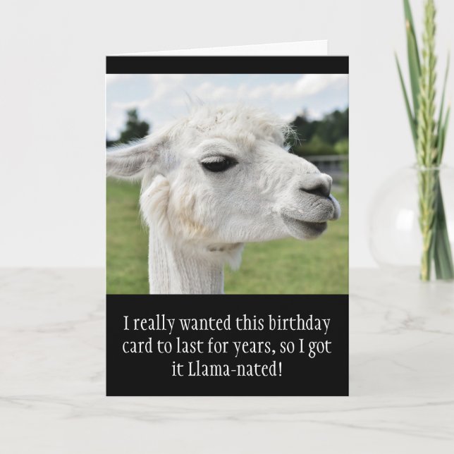 Funny Alpaca Llama Birthday Kort (Framsida)