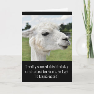 Funny Alpaca Llama Birthday Kort